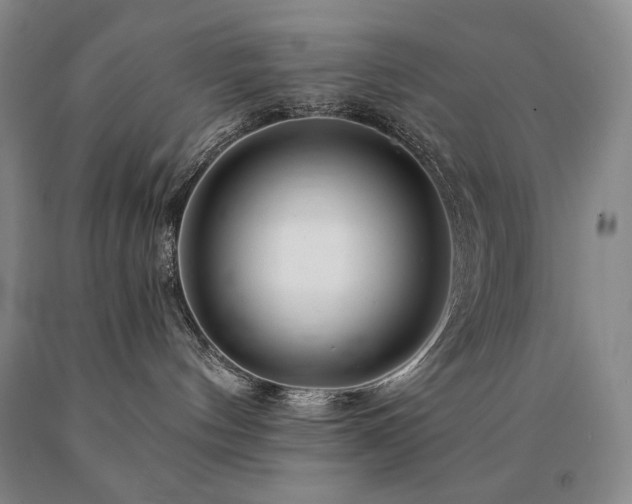 X0000090870144200707271258