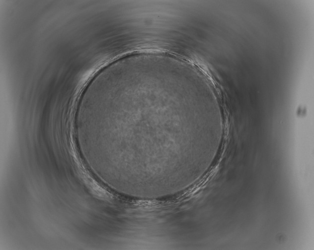 X0000090870145200707271257