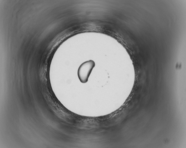 X0000090870146200707271257