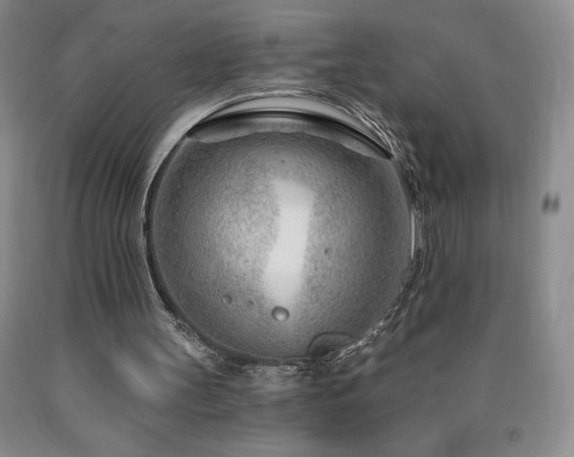 X0000090870147200707271257