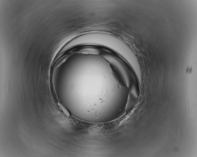 X0000090870148200707271257