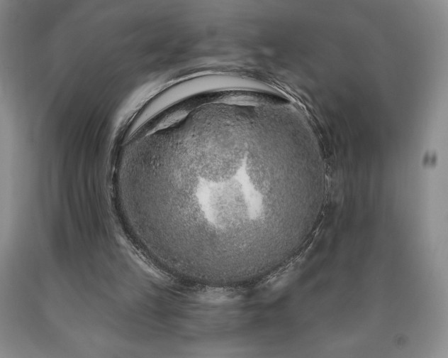 X0000090870149200707271258