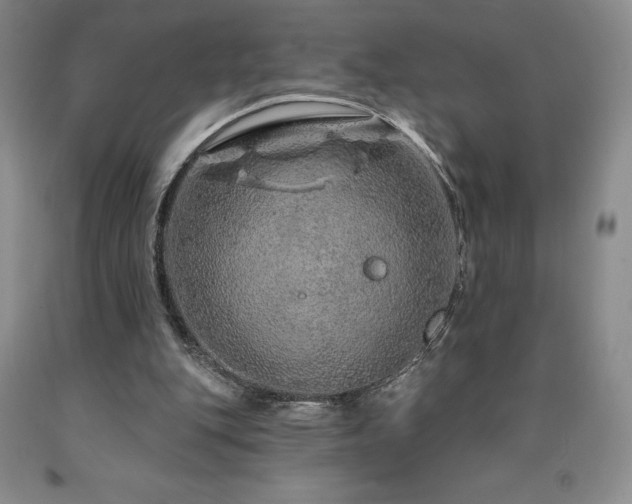 X0000090870151200707271258