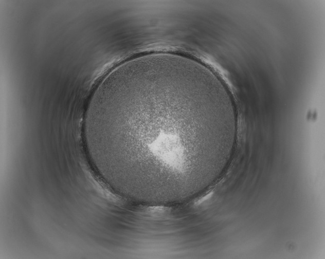 X0000090870153200707271258