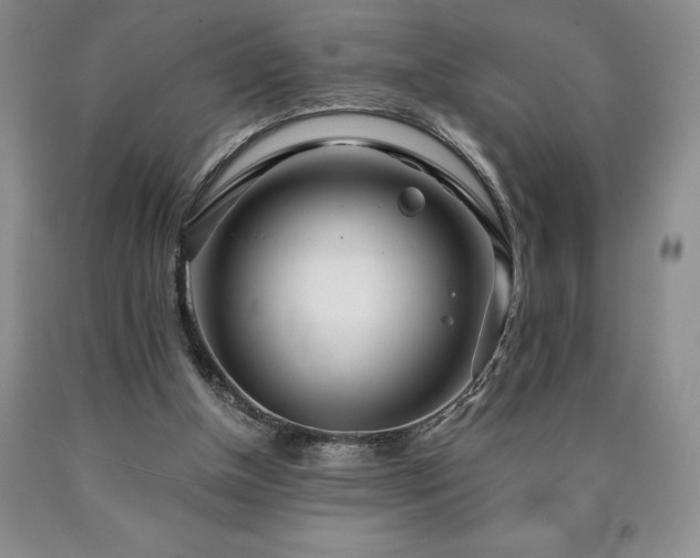 X0000090870154200707271258