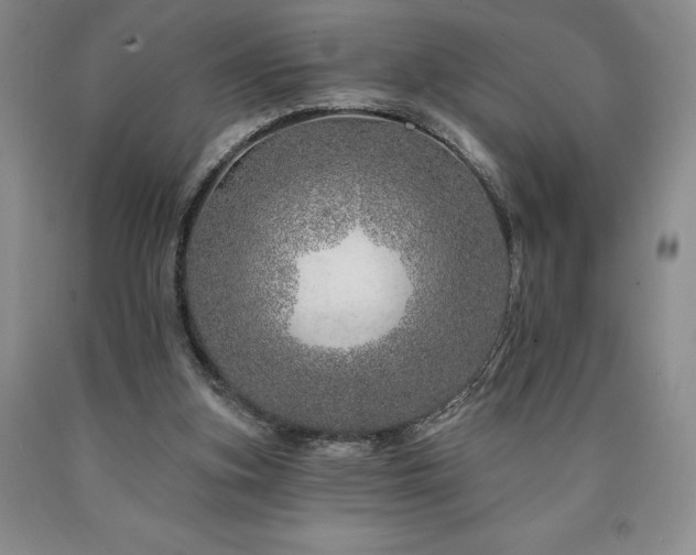 X0000090870155200707271258