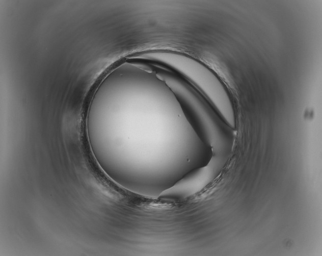 X0000090870156200707271258