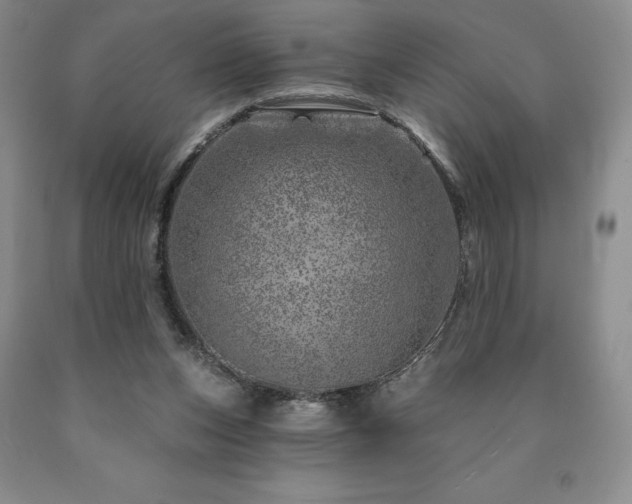 X0000090870159200707271258