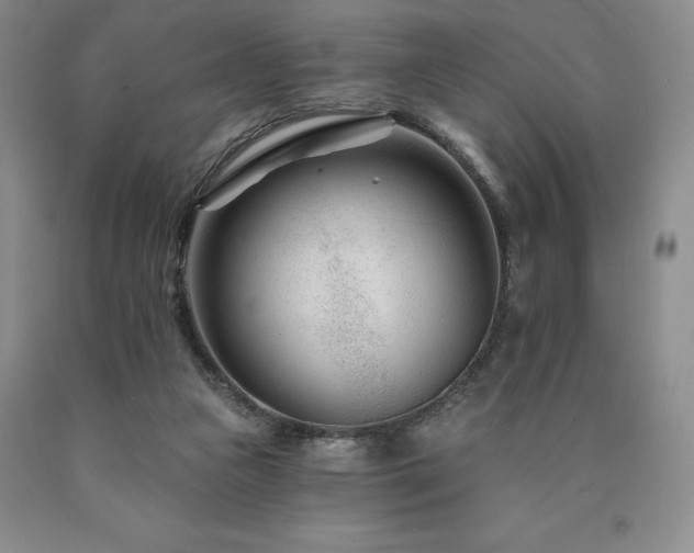 X0000090870161200707271258