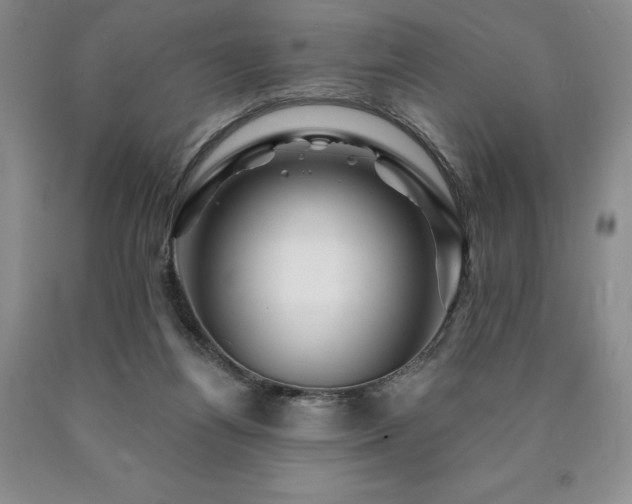 X0000090870164200707271258