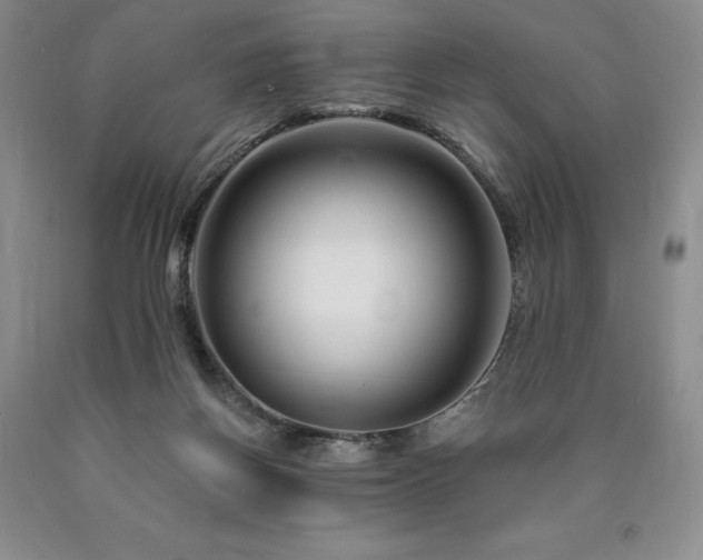 X0000090870166200707271258