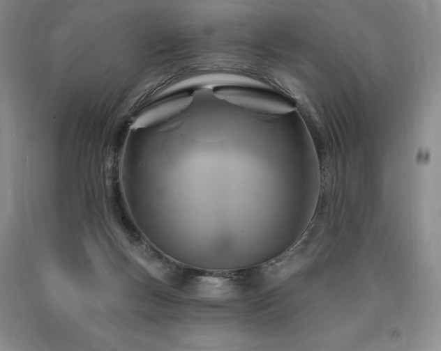 X0000090870167200707271258