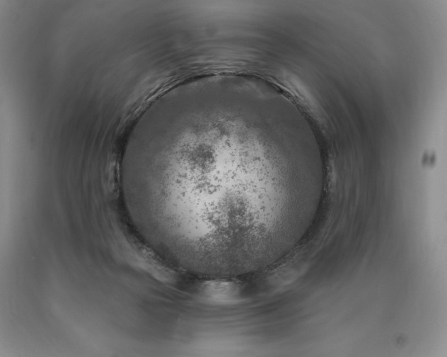 X0000090870169200707271258