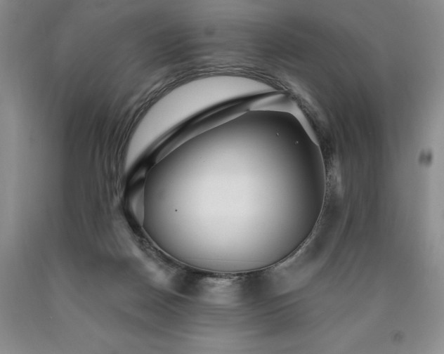 X0000090870170200707271258