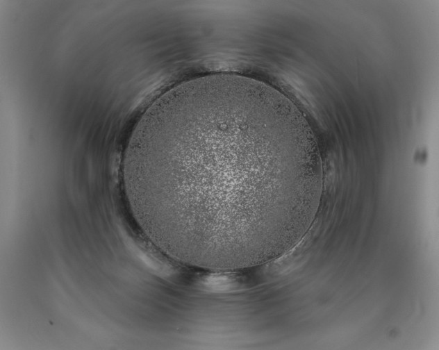 X0000090870171200707271258