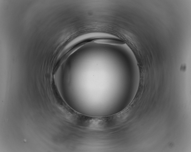 X0000090870172200707271258