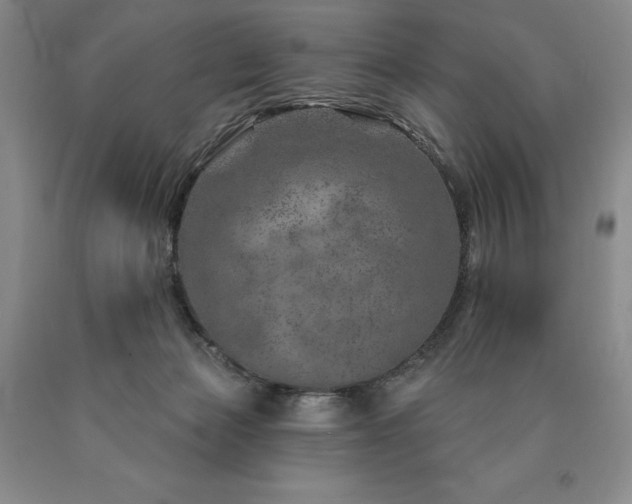 X0000090870173200707271258