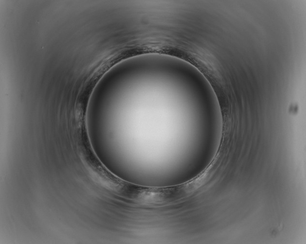 X0000090870174200707271258