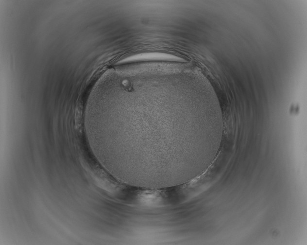 X0000090870175200707271258