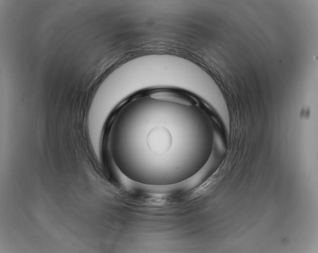 X0000090870176200707271258