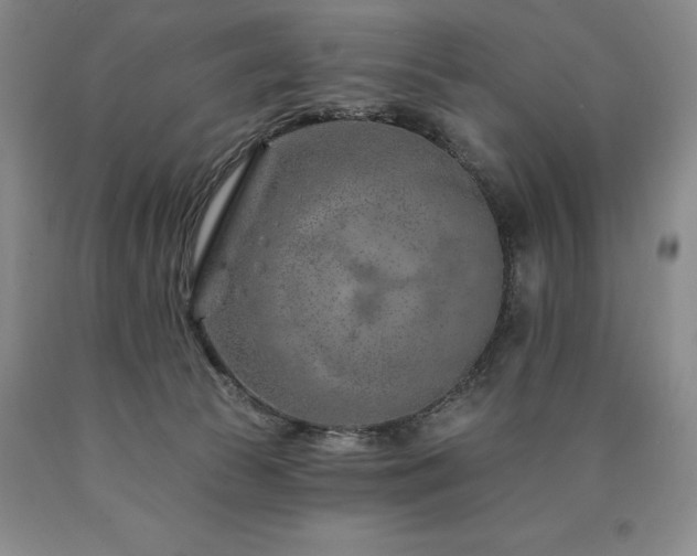 X0000090870177200707271258