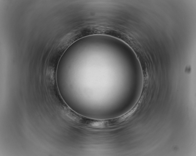 X0000090870178200707271258