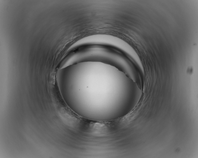 X0000090870180200707271258