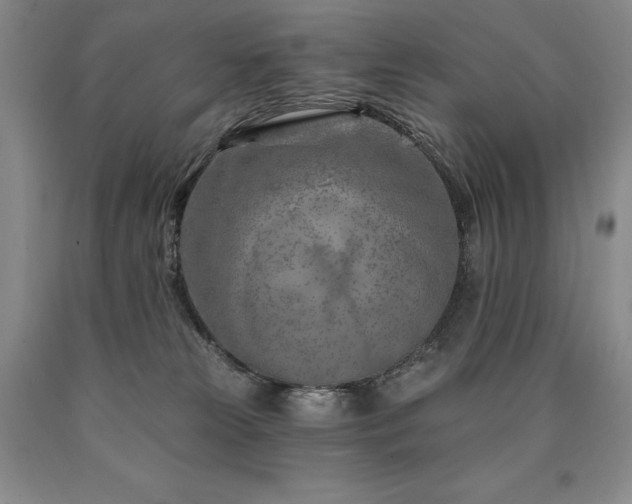 X0000090870181200707271258