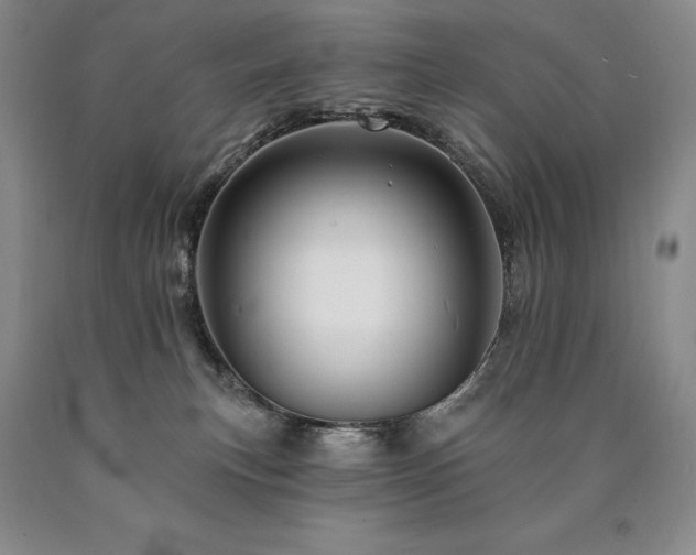 X0000090870183200707271258