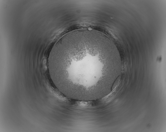 X0000090870187200707271258