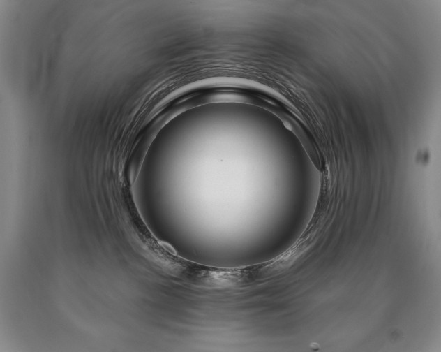 X0000090870188200707271258