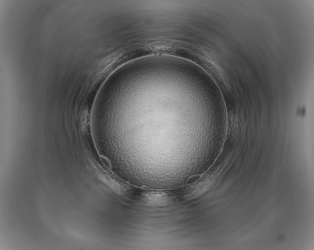 X0000090870189200707271258