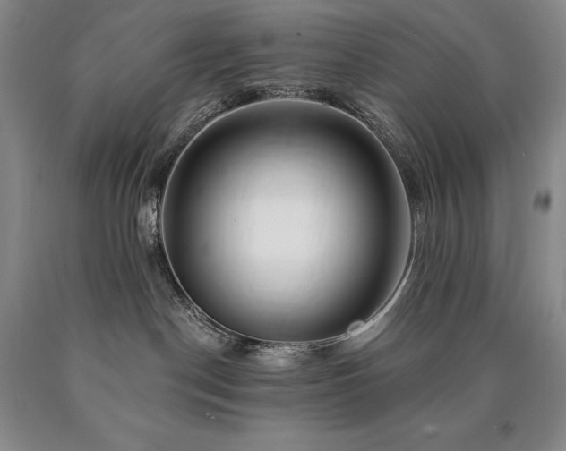 X0000090870190200707271258