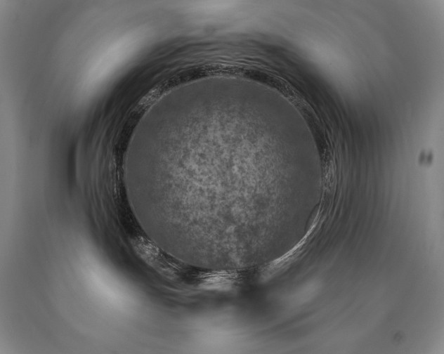 X0000090870191200707271258