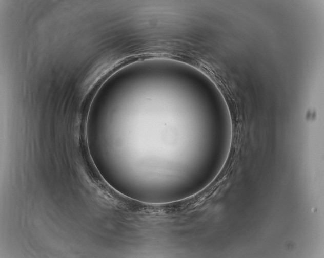 X0000090870194200707271257