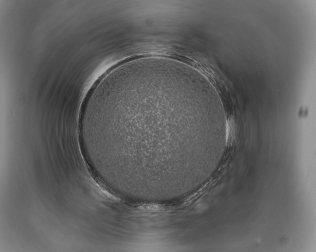 X0000090870195200707271257