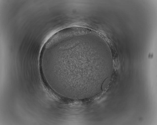 X0000090870196200707271257