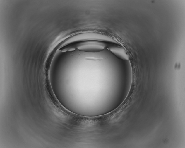 X0000090870198200707271257