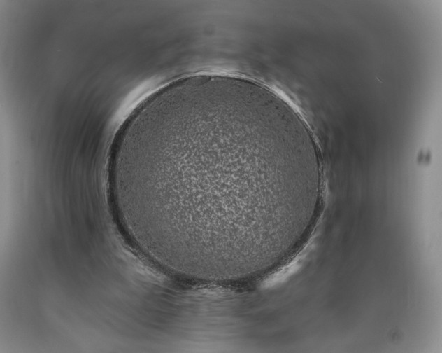 X0000090870199200707271257