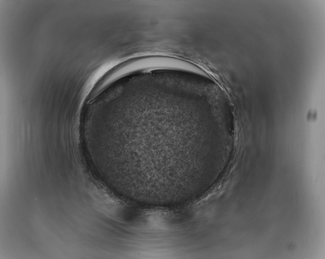 X0000090870200200707271257