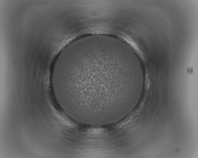 X0000090870202200707271257