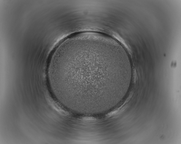 X0000090870203200707271257