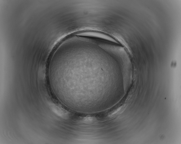 X0000090870204200707271257