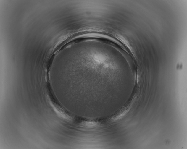 X0000090870205200707271257