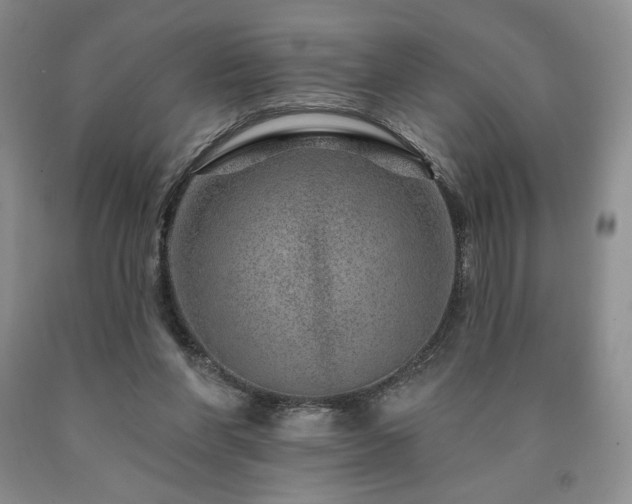 X0000090870206200707271257