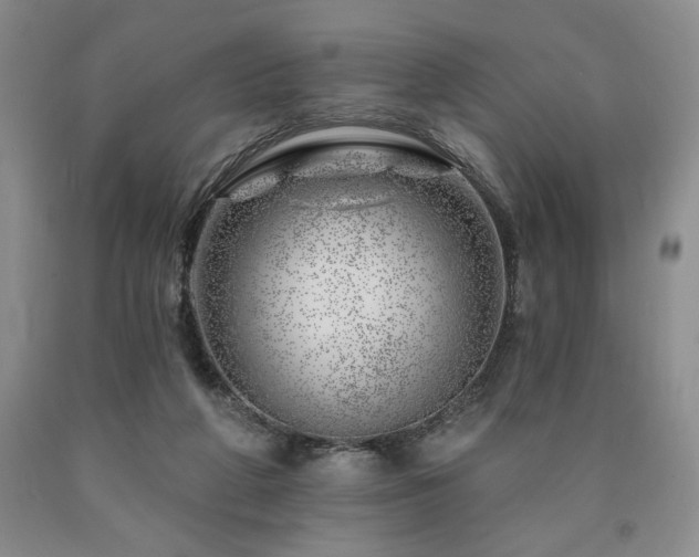 X0000090870210200707271257