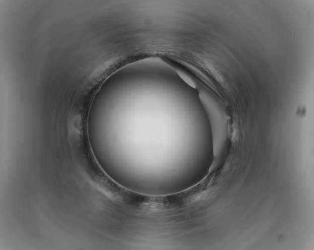 X0000090870211200707271257