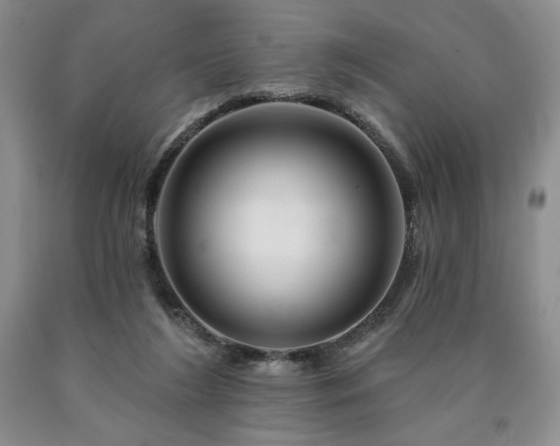 X0000090870212200707271257