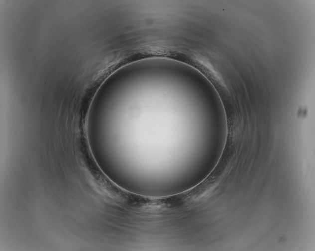 X0000090870213200707271257