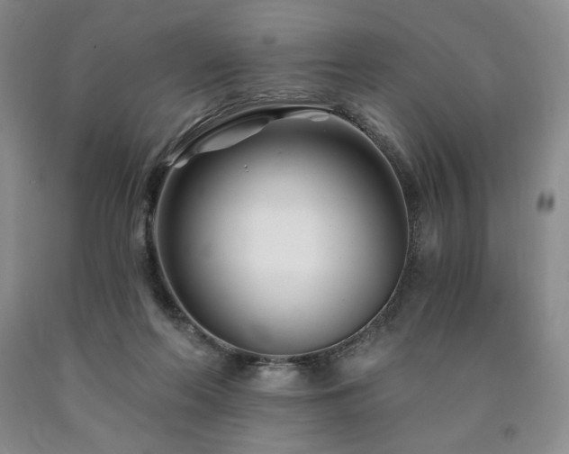 X0000090870214200707271257